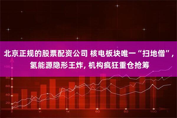 北京正规的股票配资公司 核电板块唯一“扫地僧”, 氢能源隐形王炸, 机构疯狂重仓抢筹