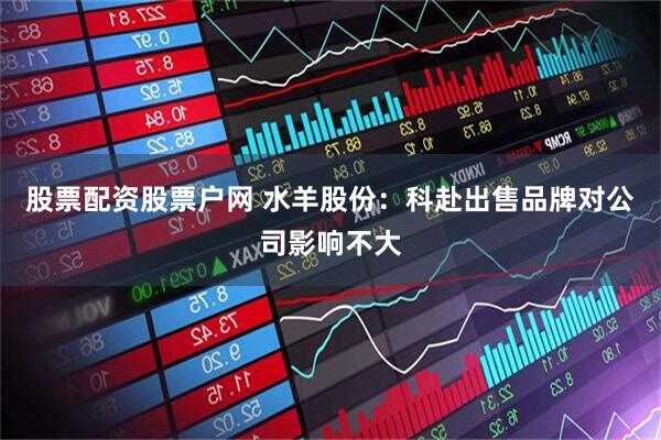 股票配资股票户网 水羊股份：科赴出售品牌对公司影响不大