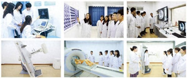 正规配资网 专业解码|齐鲁医药学院医学影像学院：学以致用 精益求精