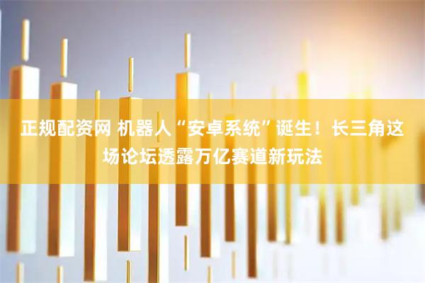 正规配资网 机器人“安卓系统”诞生！长三角这场论坛透露万亿赛道新玩法